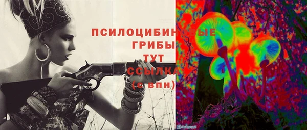 стафф Алексин