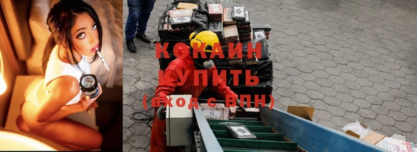 тгк Арсеньев