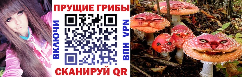 hydra как войти как найти дарк нет как зайти Галлюциногенные грибы GOLDEN TEACHER Камбарка