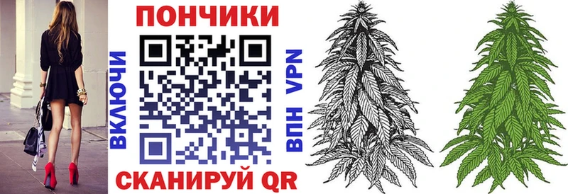 Шишки марихуана марихуана  Камбарка 
